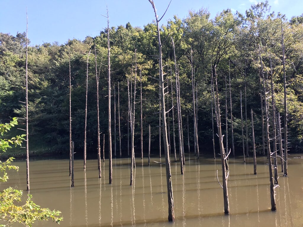 小山内裏公園の写真6