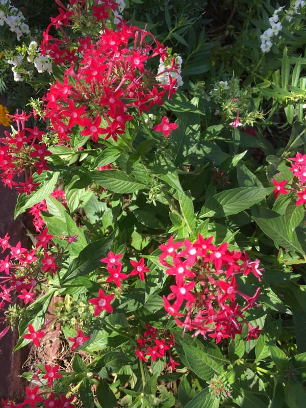 小山内裏公園の写真10