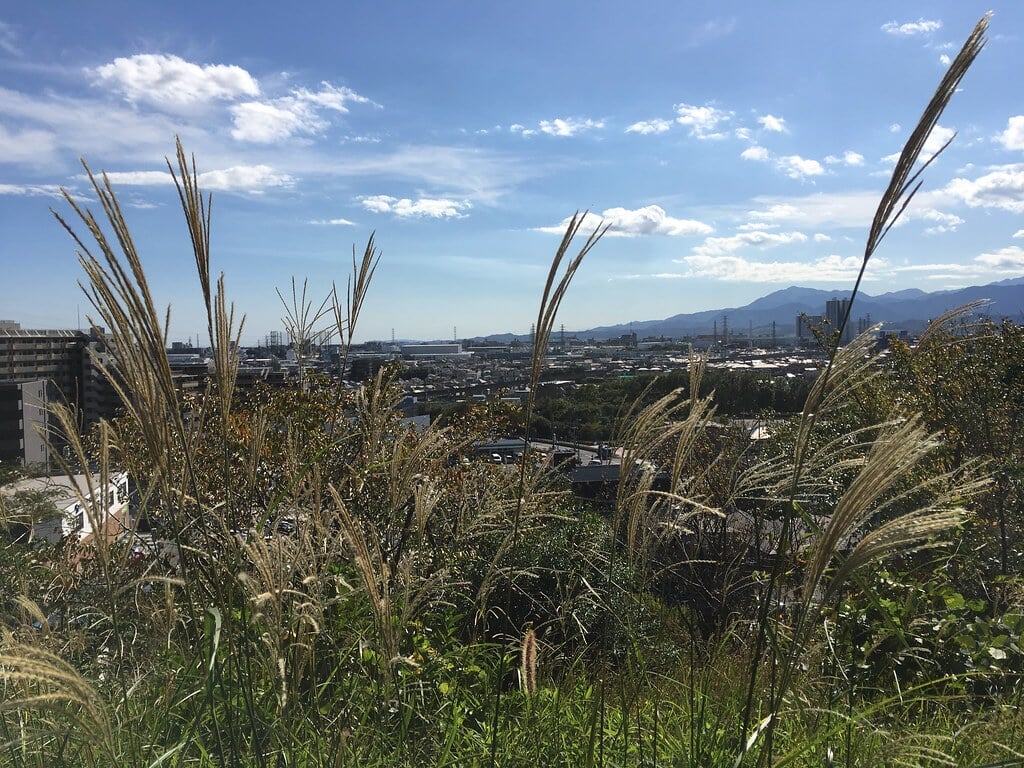 小山内裏公園の写真11