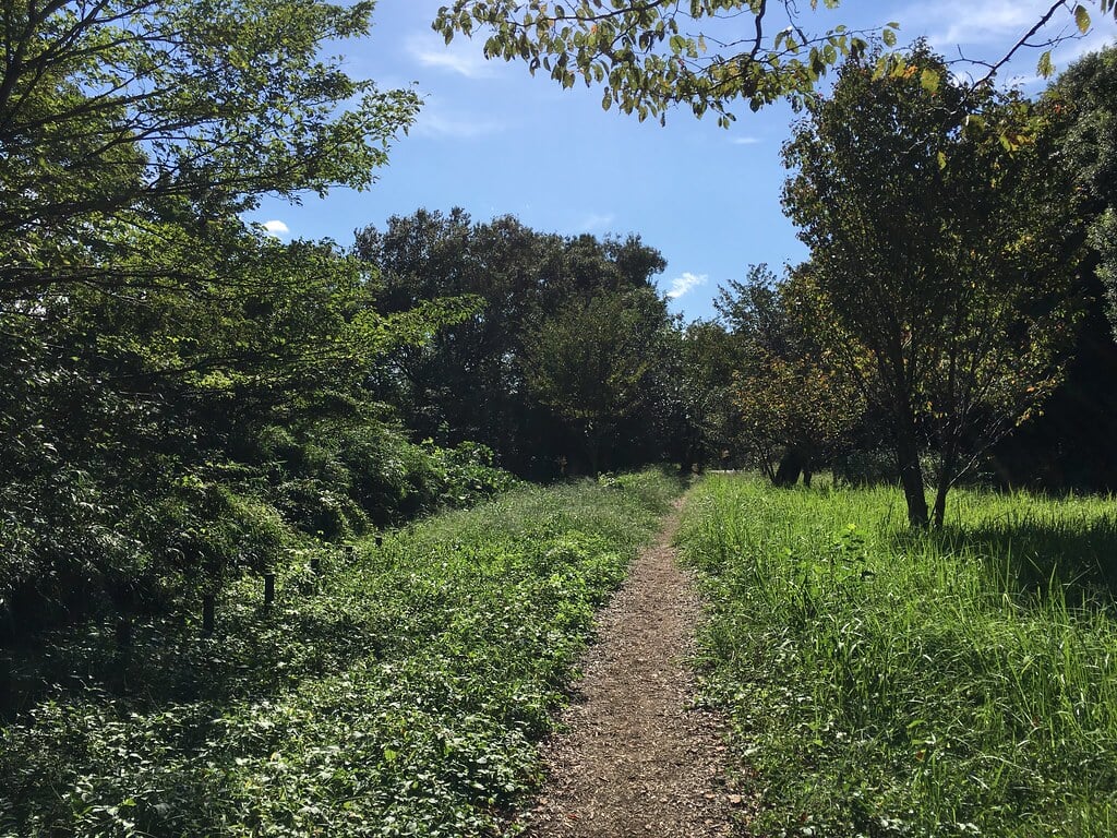 小山内裏公園の写真12