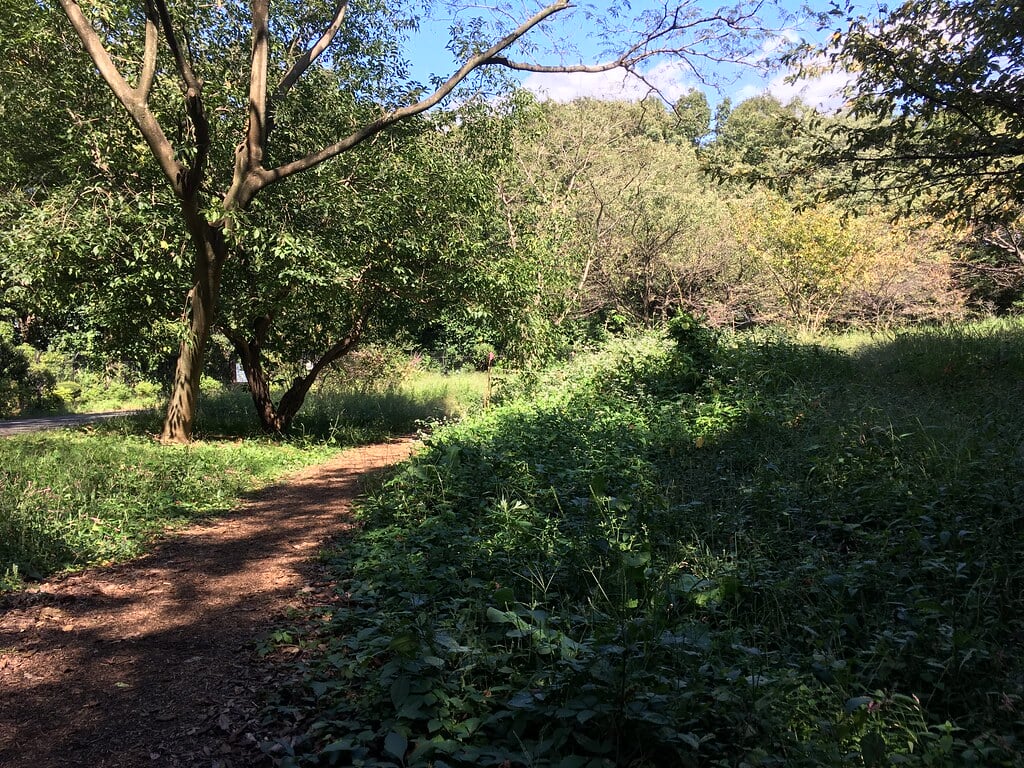 小山内裏公園の写真15