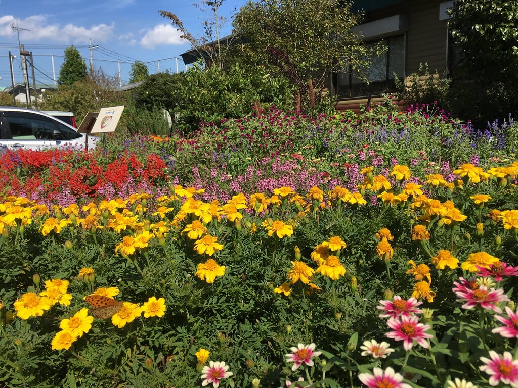 小山内裏公園の写真16