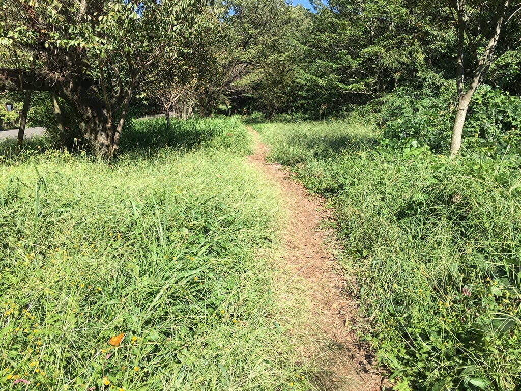 小山内裏公園の写真17