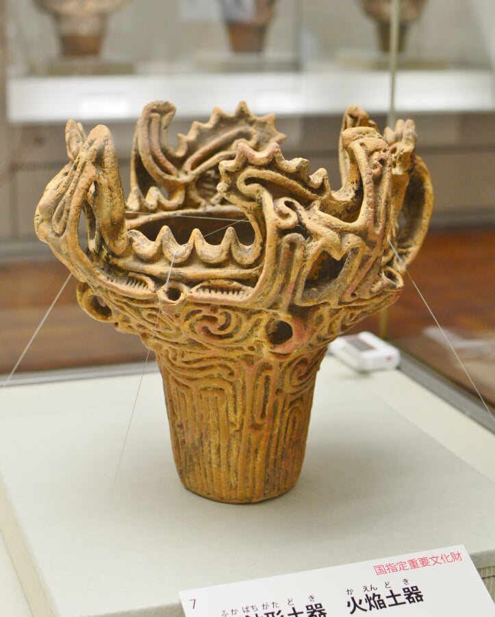 京都大学総合博物館の写真2