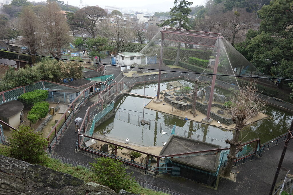 和歌山公園動物園の写真2