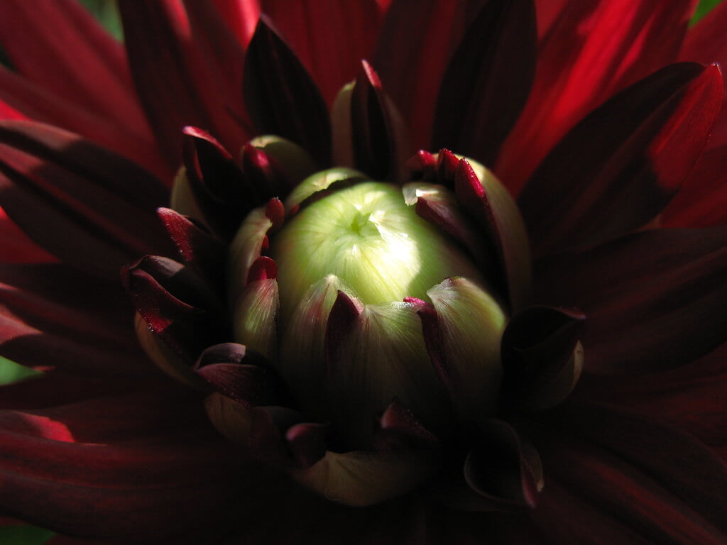 茨城県フラワーパークの写真6