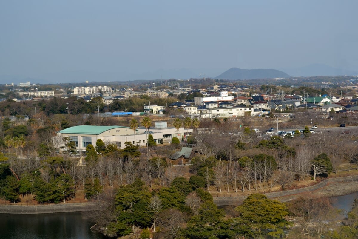 ときわ公園の写真3