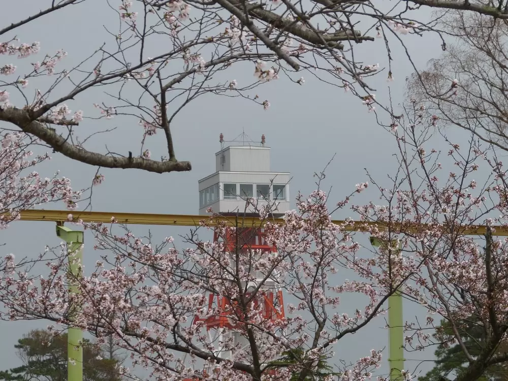 ときわ公園の写真1