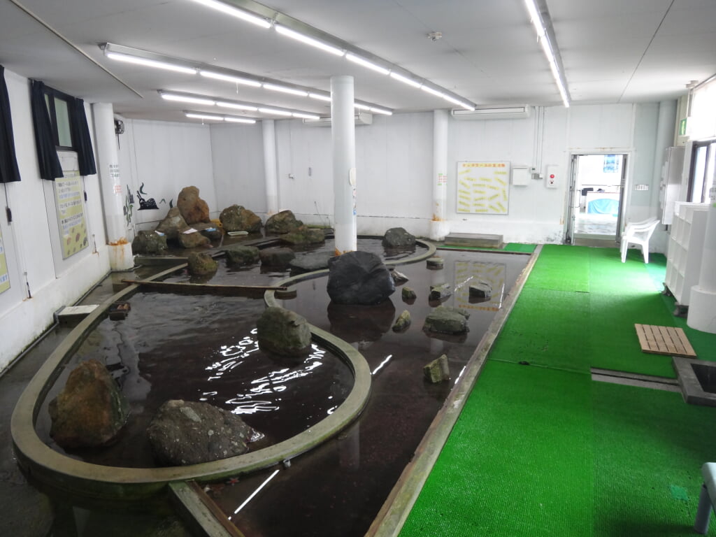 なぎさ水族館の写真2