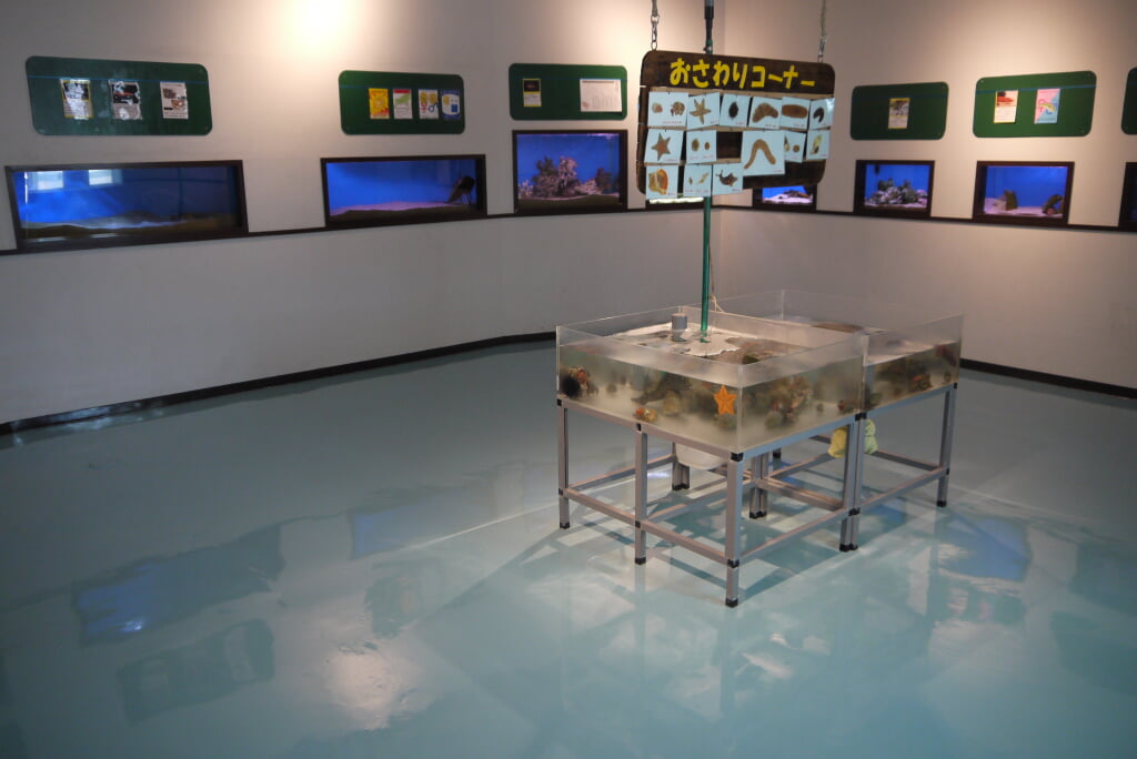 なぎさ水族館の写真3