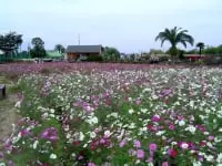 和泉リサイクル環境公園