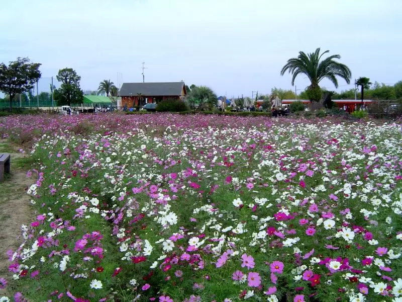 和泉リサイクル環境公園の写真1