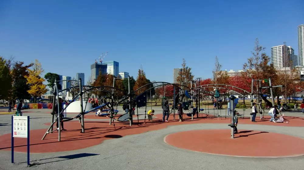 豊洲公園の写真1