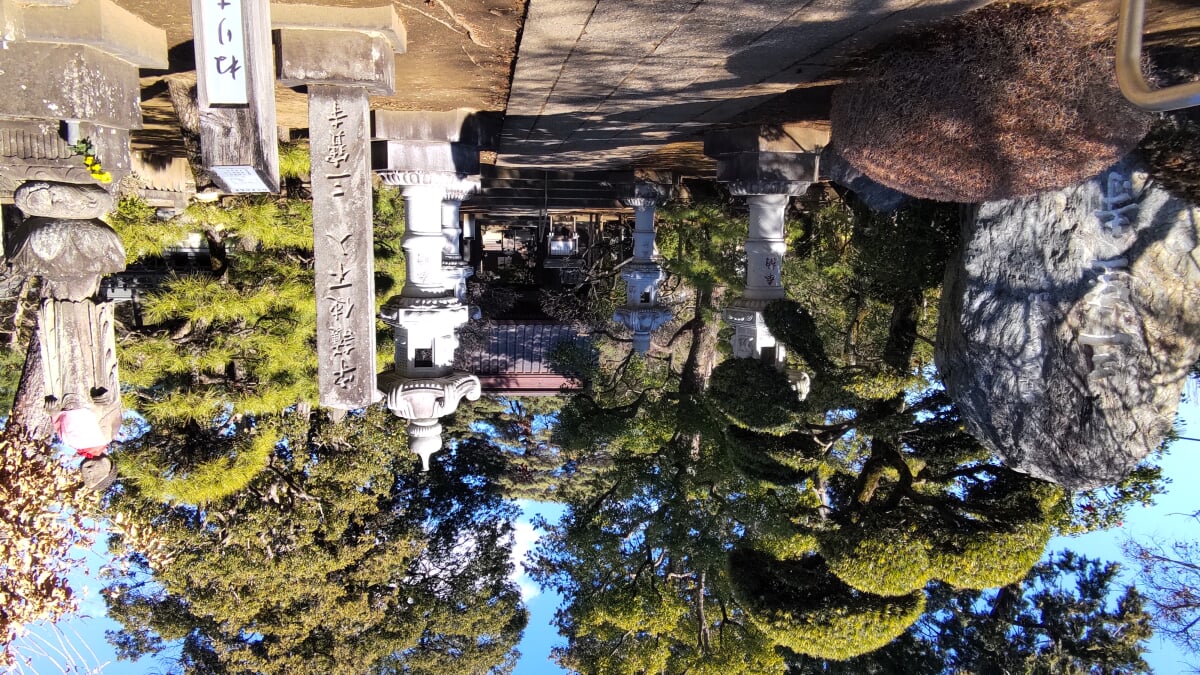 石神井公園の写真4