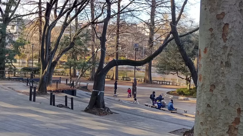 石神井公園の写真1