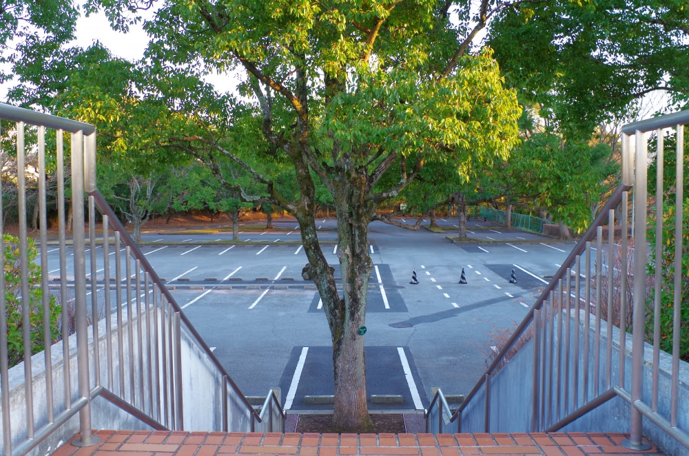 国立歴史民俗博物館の写真3