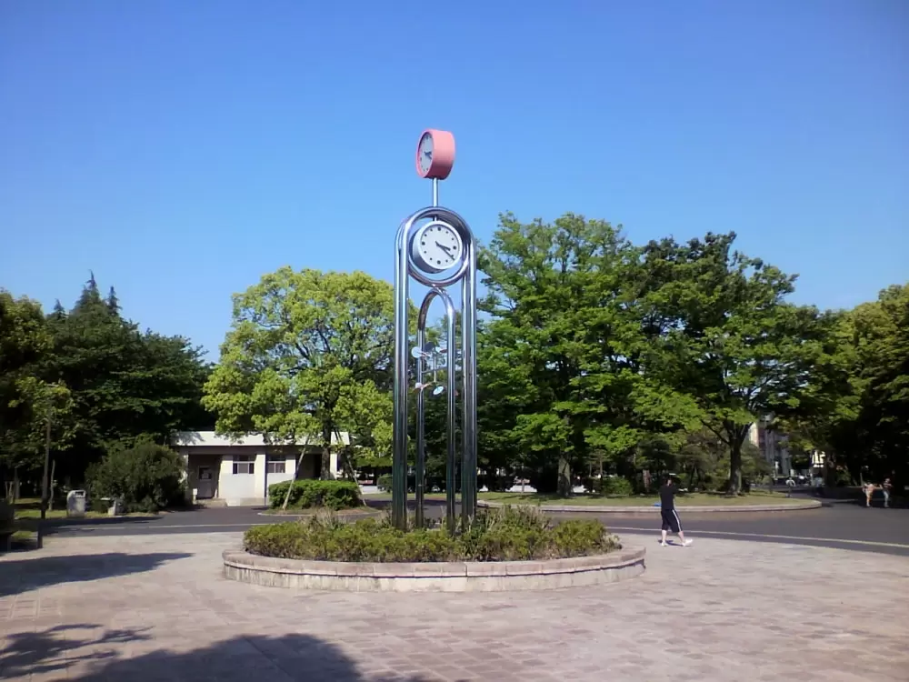 東綾瀬公園の写真1