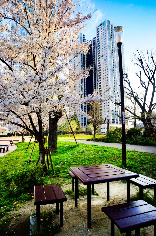 港南緑水公園の写真3