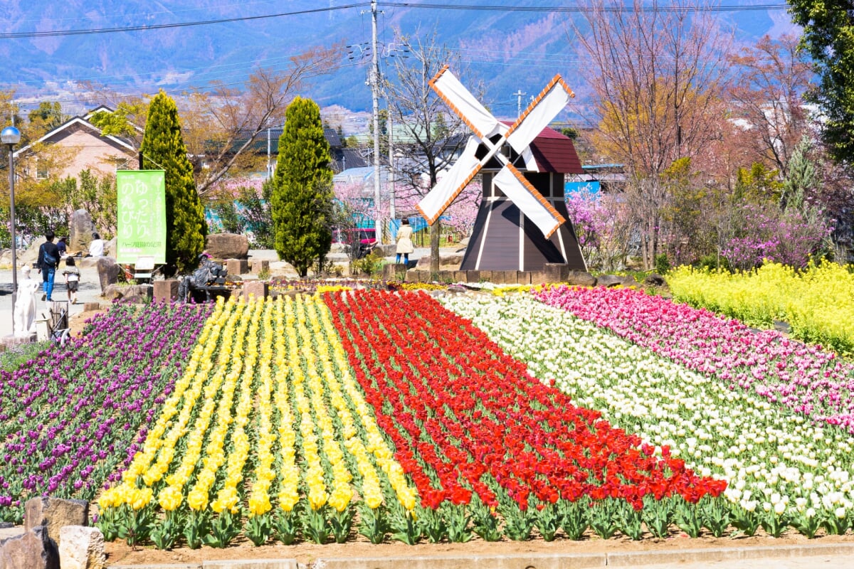 ハーブ庭園旅日記 勝沼庭園の写真3