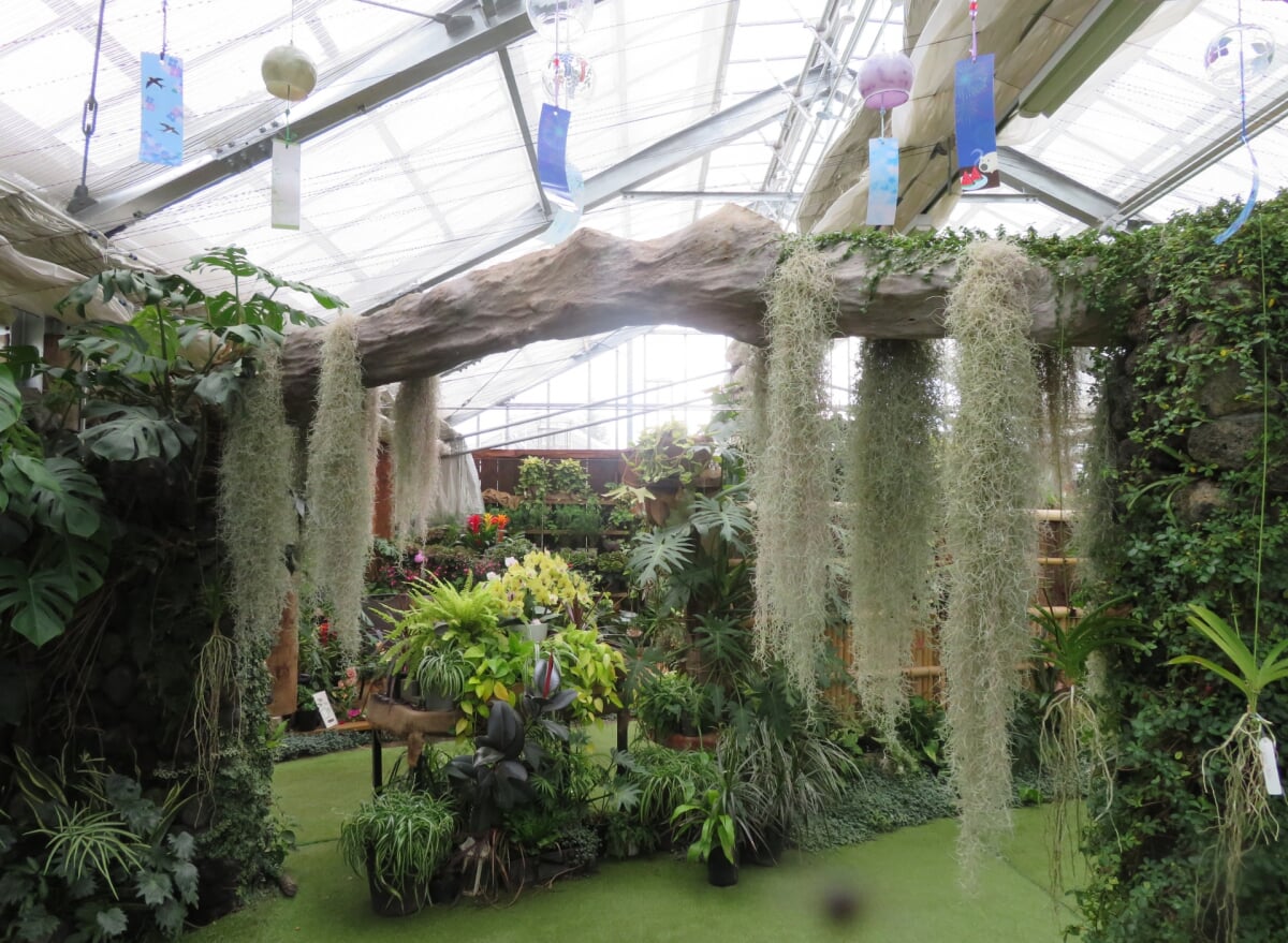 ハーブ庭園旅日記 勝沼庭園の写真5