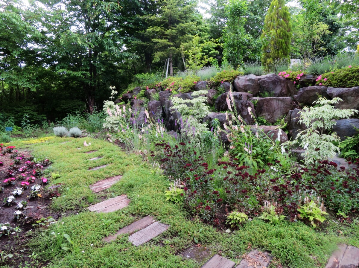 ハーブ庭園旅日記 勝沼庭園の写真7
