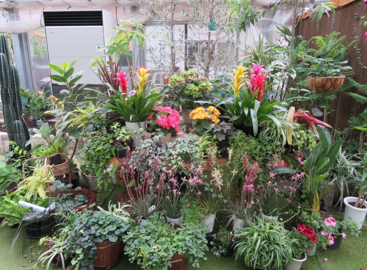 ハーブ庭園旅日記 勝沼庭園の写真8