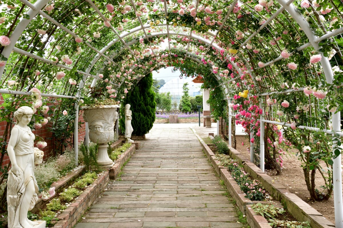ハーブ庭園旅日記 勝沼庭園の写真9
