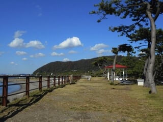 神奈川県立葉山公園の写真2