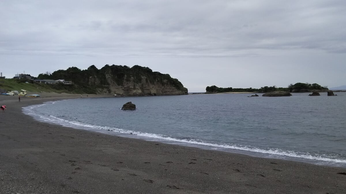 神奈川県立葉山公園の写真3
