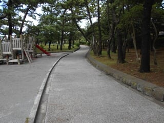 神奈川県立葉山公園の写真4