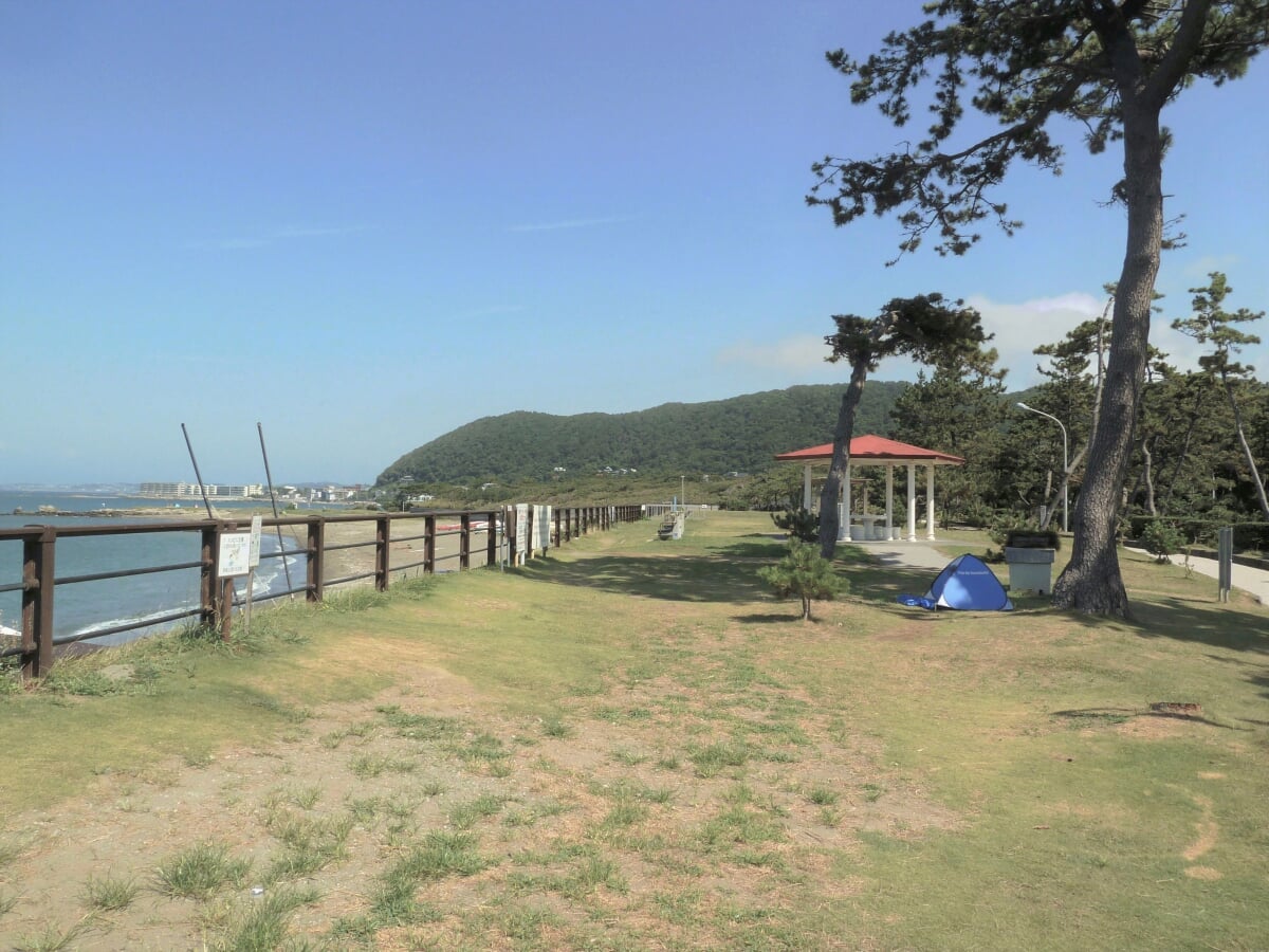 神奈川県立葉山公園の写真5