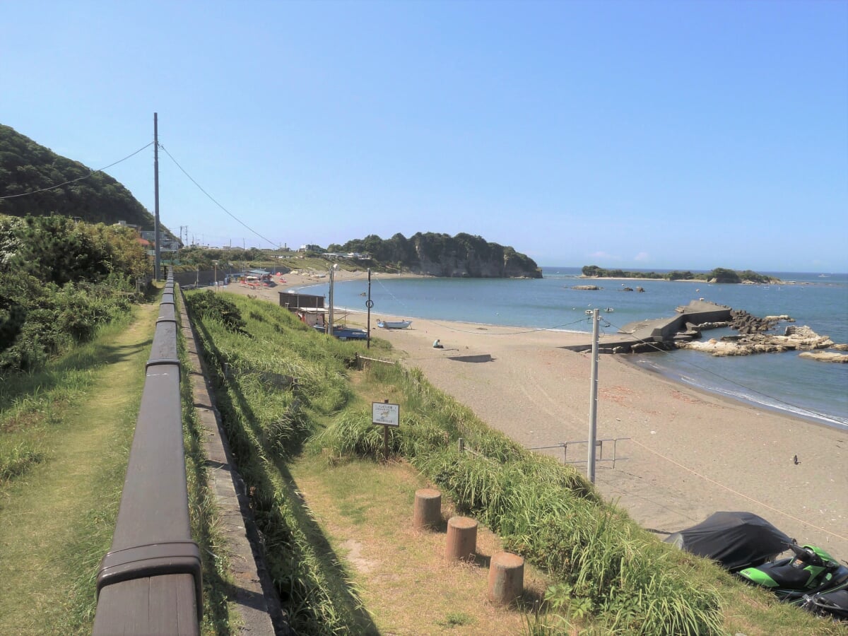 神奈川県立葉山公園の写真1