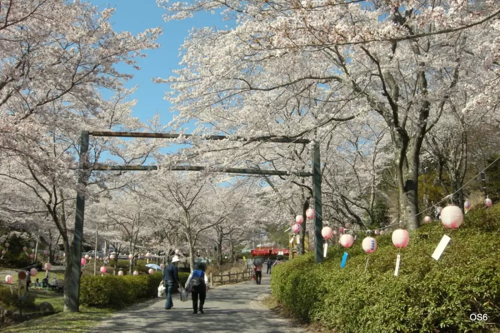 土師ダムの写真1