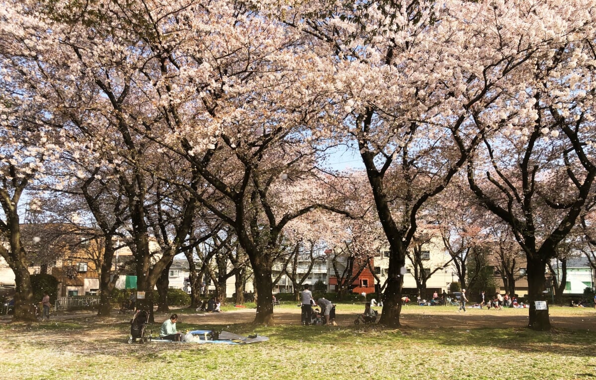 みずほ台中央公園の写真1