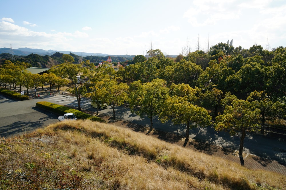 新庄総合公園の写真6