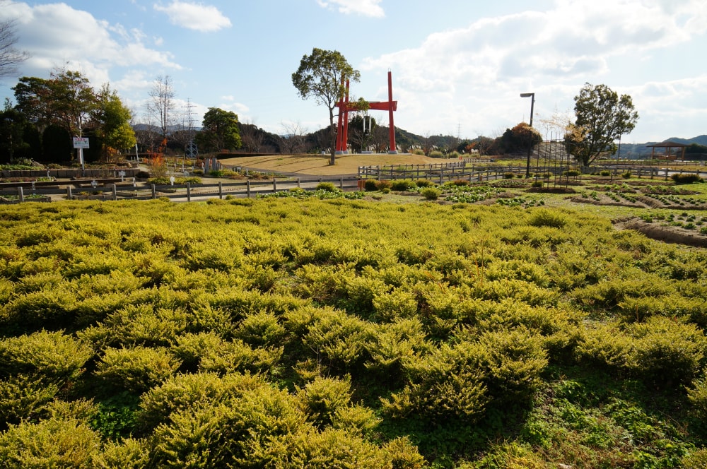新庄総合公園の写真7