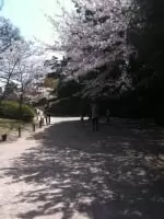 栗林公園