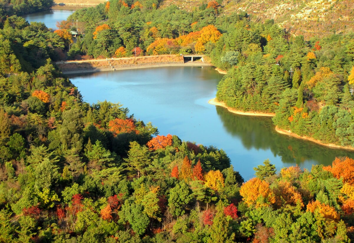 みやま公園の写真6