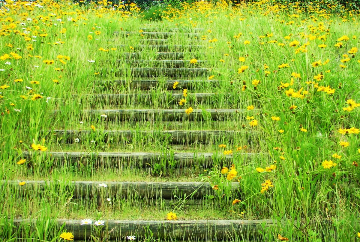 みやま公園の写真8