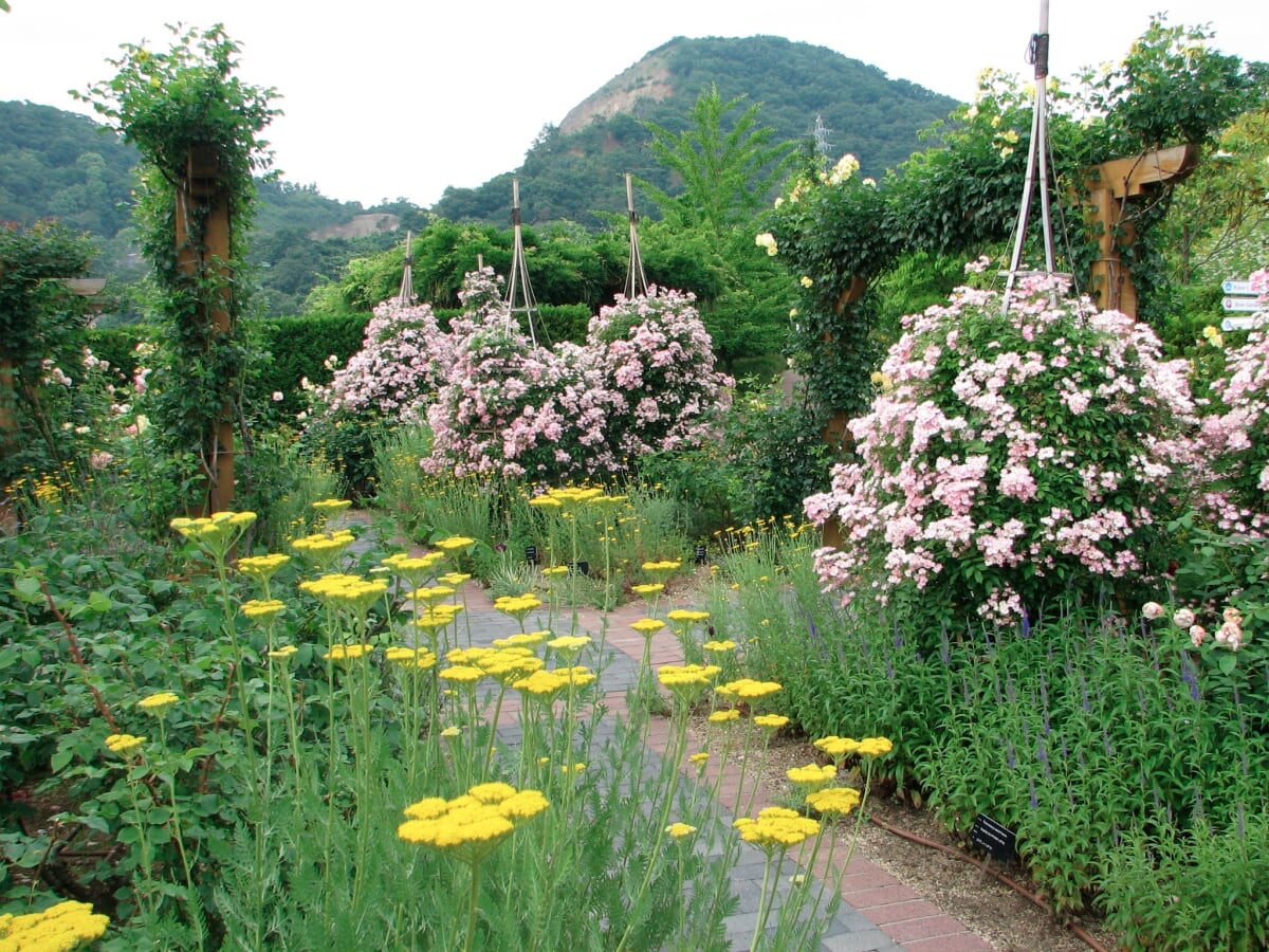 みやま公園の写真1