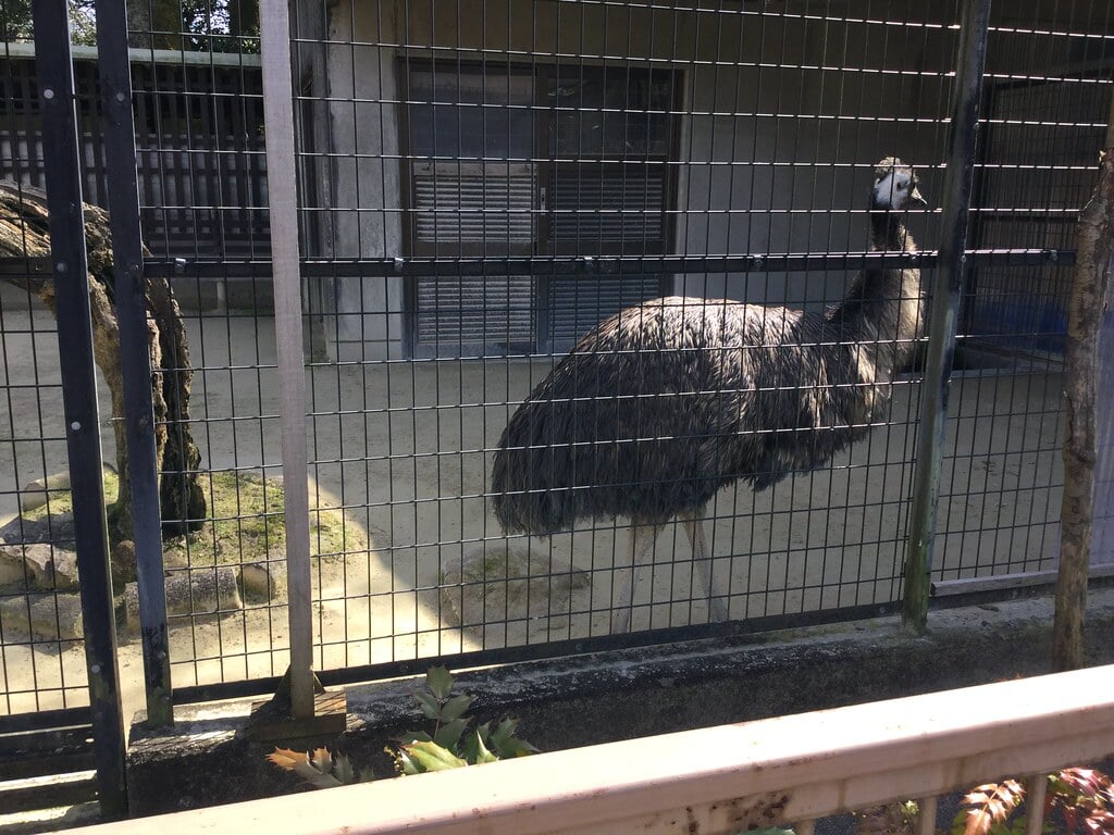 高岡古城公園動物園の写真3