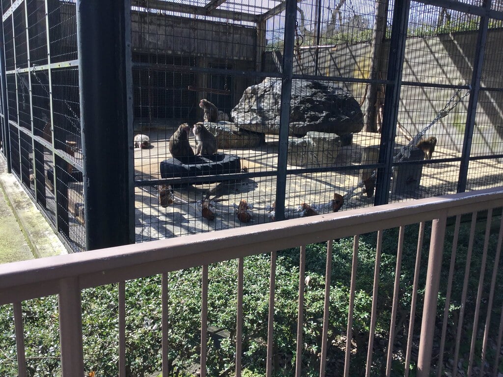 高岡古城公園動物園の写真5