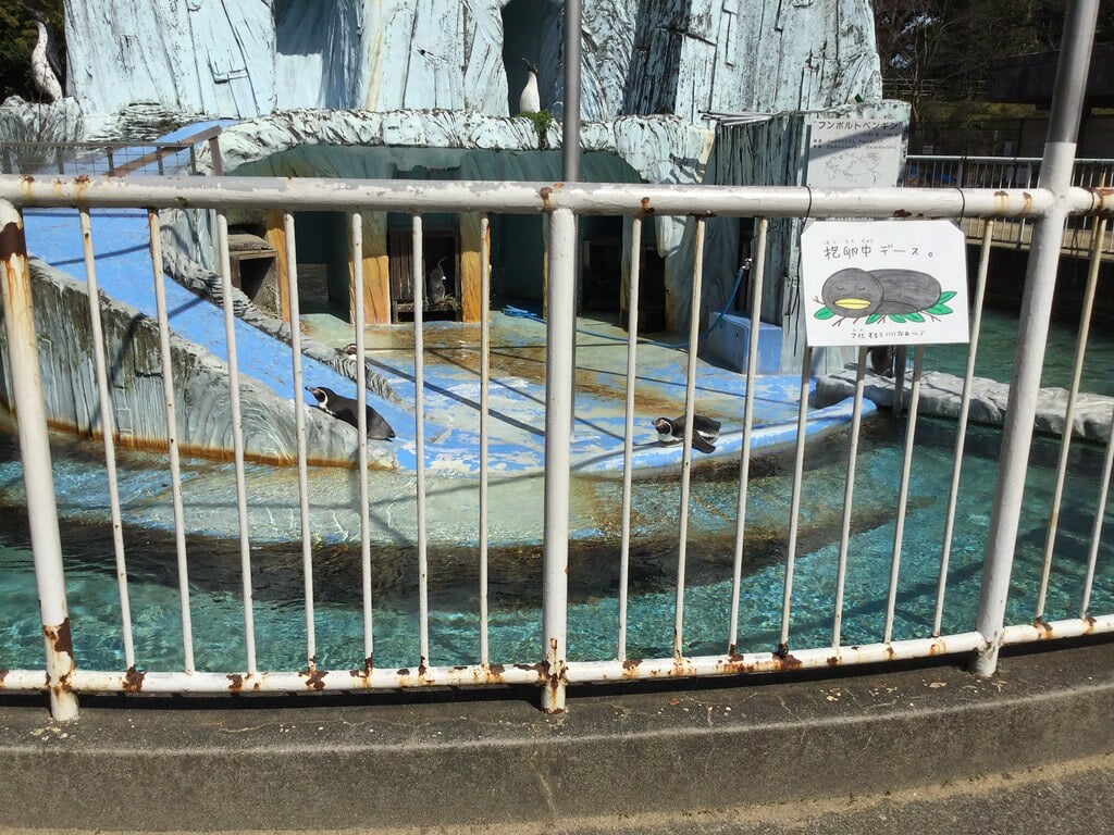 高岡古城公園動物園の写真7