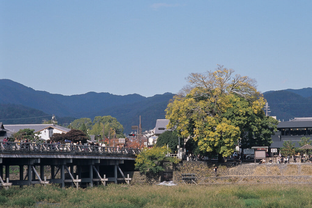 嵐山公園の写真1