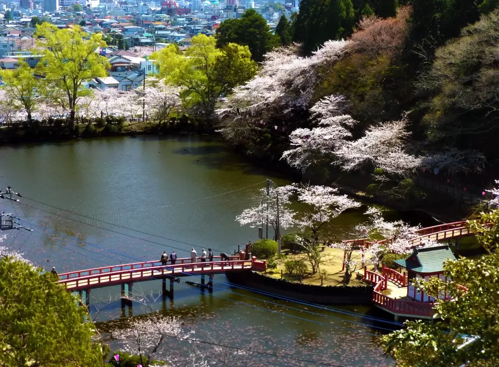 茂原公園の写真1