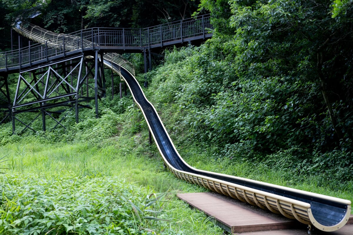 あつぎこどもの森公園の写真1