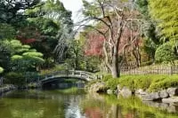 平塚市総合公園