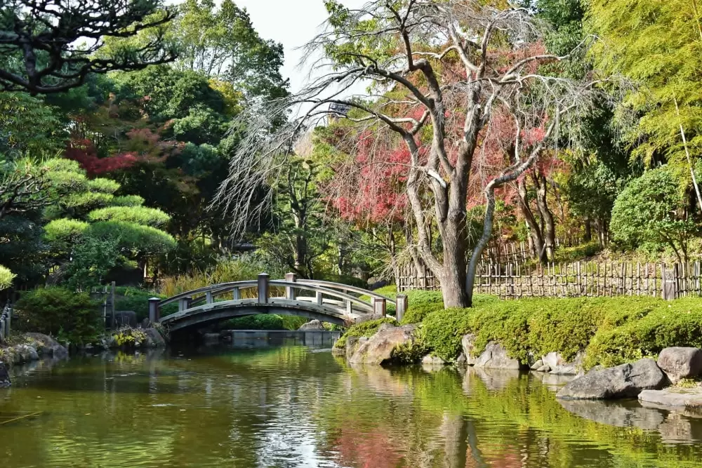 平塚市総合公園の写真1