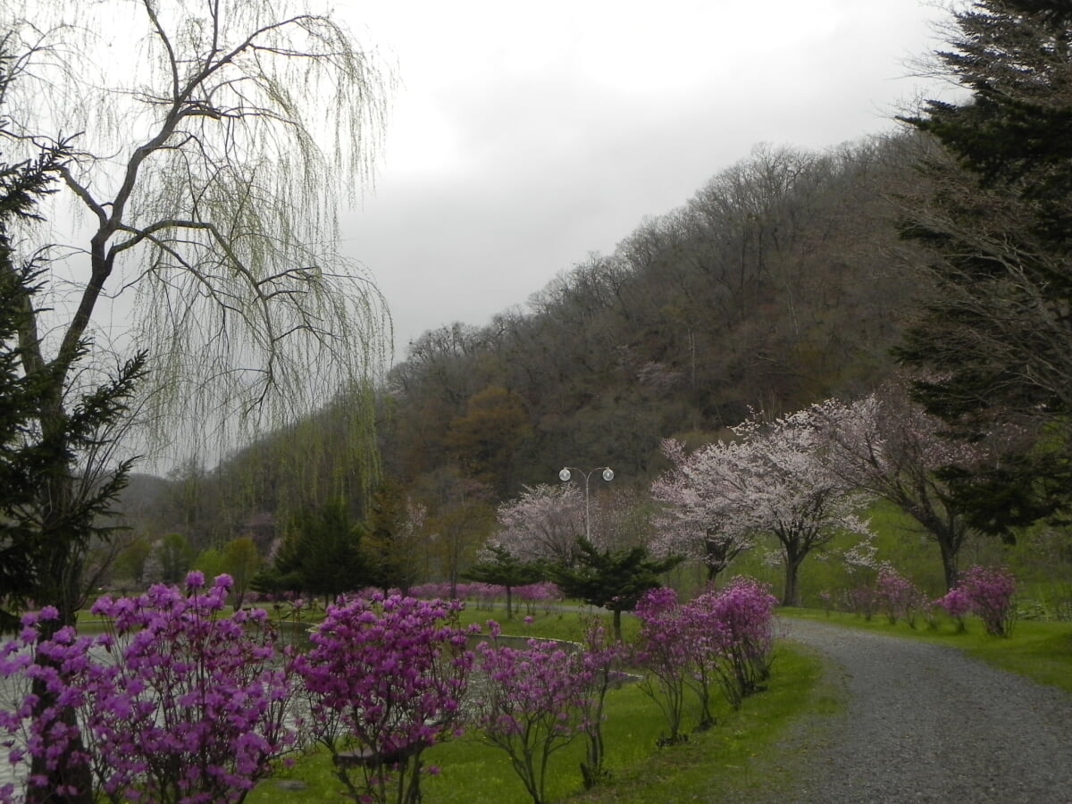 本別公園の写真1
