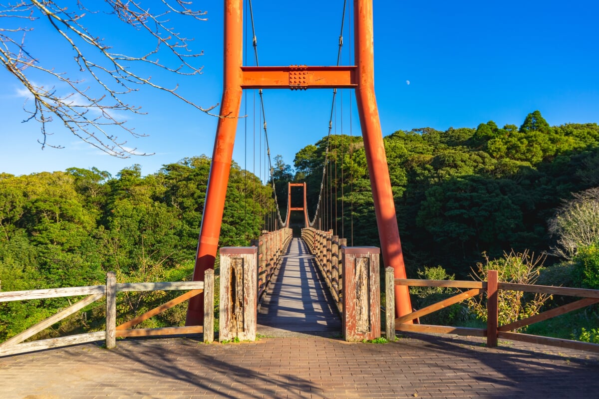 錦江台展望公園 スカイぱれっとの写真1